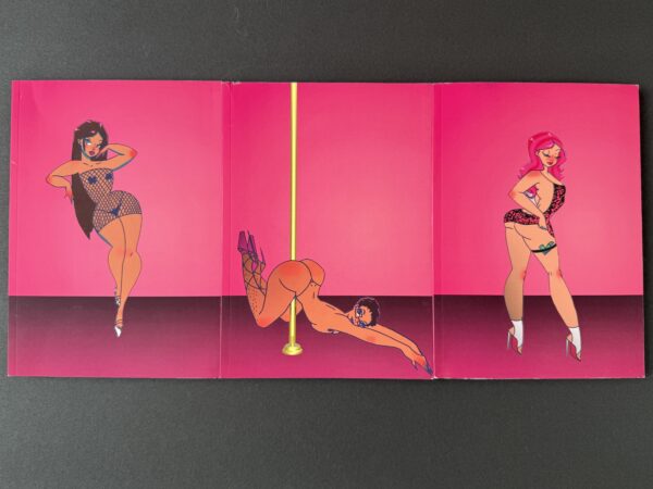 Charm Journal 5x7 (puss pink) - Image 3